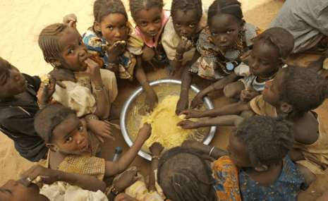 African Leaders Urged to Tackle Food Insecurity Across the Continent | The African Exponent.