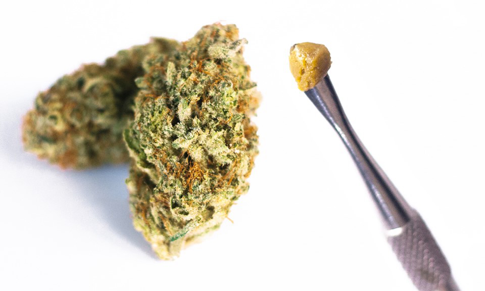 Marijuana Concentrates: 3 Things You Should Know | The African Exponent.